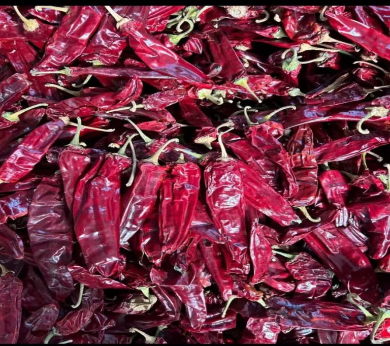Paprika pods3